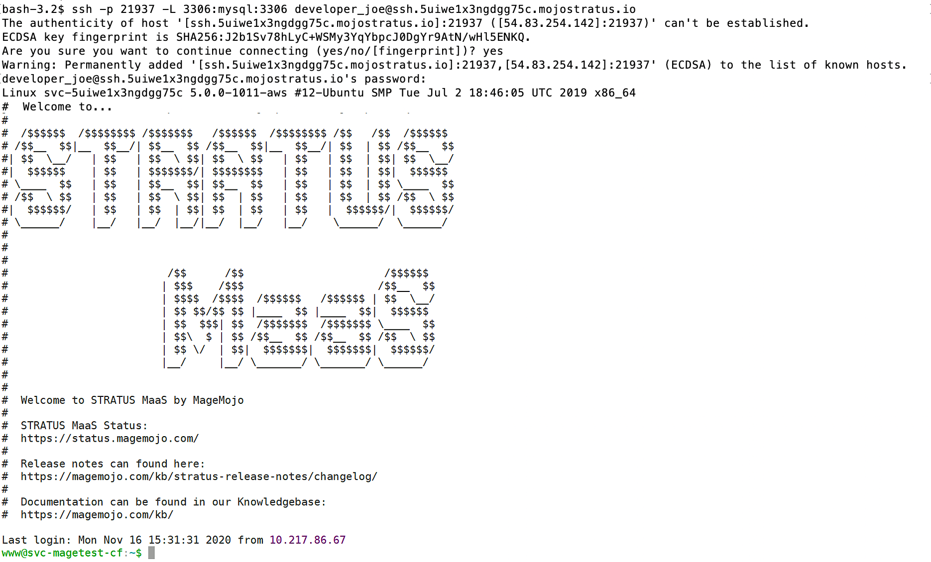 create ssh tunnel form browser